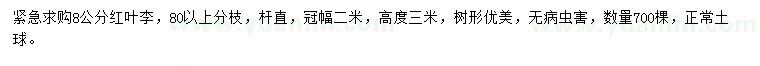 求購8公分紅葉李