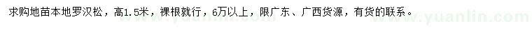 求購高1.5米本地羅漢松