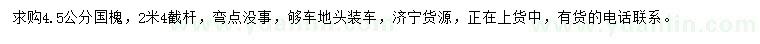 求購(gòu)4.5公分國(guó)槐