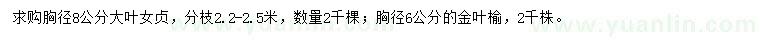 求購(gòu)胸徑8公分大葉女貞、胸徑6公分金葉榆