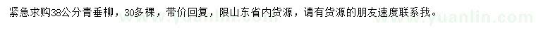 求購38公分青垂柳