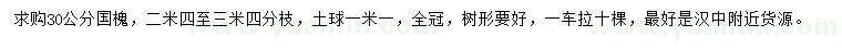 求購30公分國槐