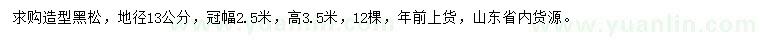 求購(gòu)地徑13公分造型黑松