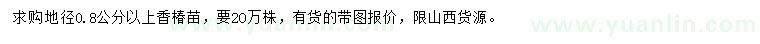 求購(gòu)地徑0.8公分以上香椿苗