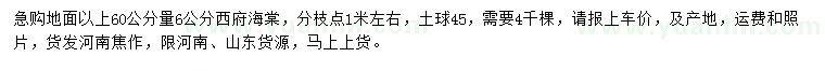 求購地面以上60公分量6公分西府海棠