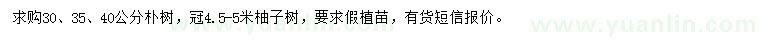 求購30、35、40公分樸樹、冠4.5-5米柚子樹