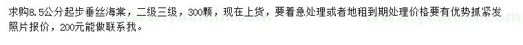 求購8.5公分垂絲海棠