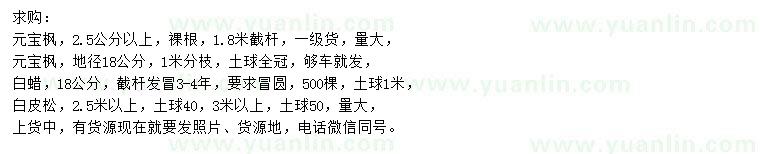 求購元寶楓、白蠟、白皮松