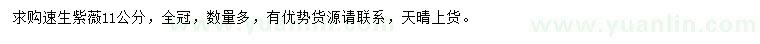 求購11公分速生紫薇
