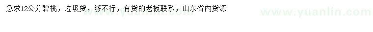 求購12公分碧桃