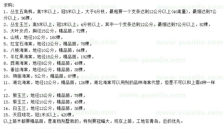 求購(gòu)叢生五角楓、叢生玉蘭、大葉女貞等