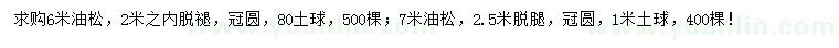 求購6、7米油松