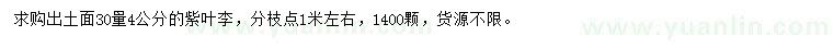 求購出土面30量4公分紫葉李