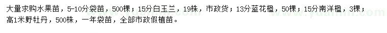求購(gòu)水果苗、白玉蘭、藍(lán)花楹等
