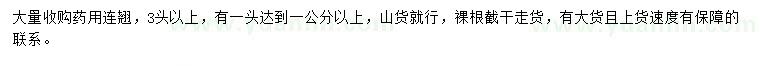 求購(gòu)藥用連翹
