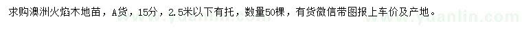 求購(gòu)15公分澳洲火焰木