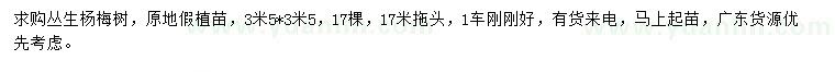 求購(gòu)高3.5米叢生楊梅樹(shù)