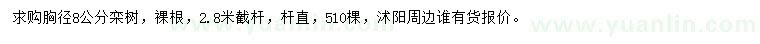 求購胸徑8公分欒樹
