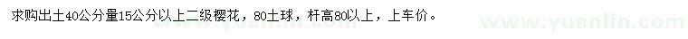 求購出土40量15公分以上櫻花