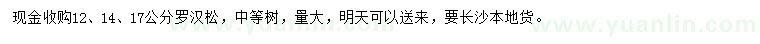 求購(gòu)12、14、17公分羅漢松