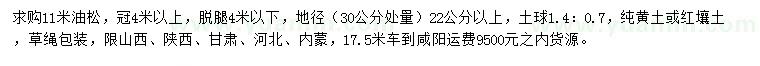 求購11米油松