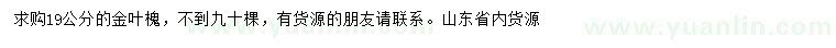 求購19公分金葉槐