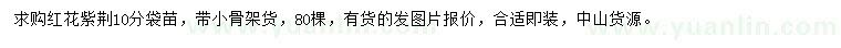 求購10公分紅花紫荊