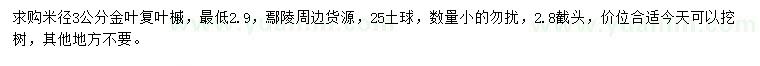 求購米徑3公分金葉復(fù)葉槭