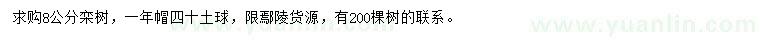 求購8公分欒樹