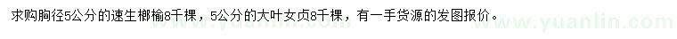 求購胸徑5公分速生榔榆、大葉女貞