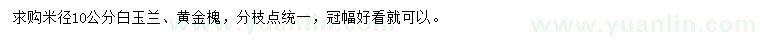 求購米徑10公分白玉蘭、黃金槐