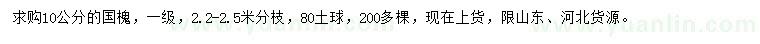 求購10公分國槐