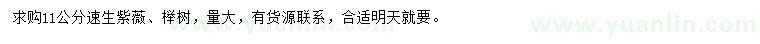 求購(gòu)11公分速生紫薇、櫸樹(shù)