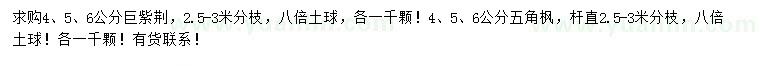 求購4、5、6公分巨紫荊、五角楓