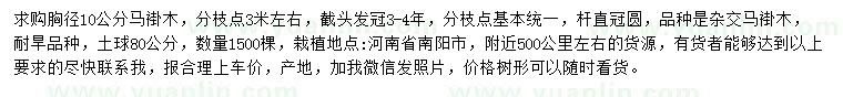 求購(gòu)胸徑10公分馬褂木