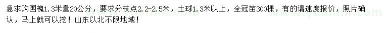 求購1.3米量20公分國槐