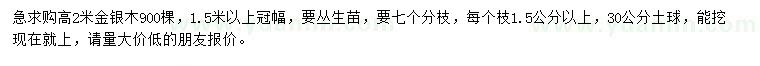 求購高2米金銀木