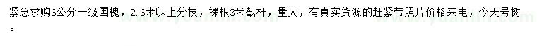 求購6公分國(guó)槐