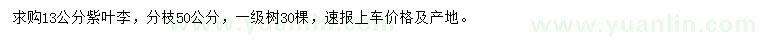 求購(gòu)13公分紫葉李