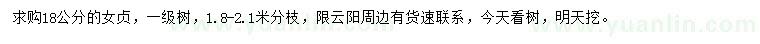 求購18公分女貞