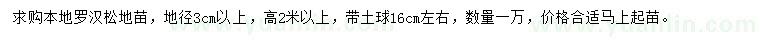求購(gòu)地徑3公分以上羅漢松