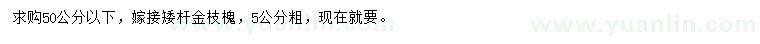 求購5公分嫁接矮桿金枝槐