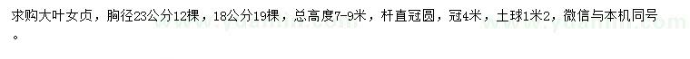 求購胸徑18、23公分大葉女貞