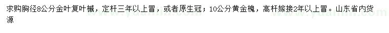 求購胸徑8公分金葉復(fù)葉槭、10公分黃金槐