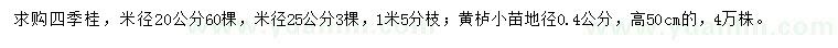 求購米徑20、25公分四季桂、高50公分黃櫨小苗