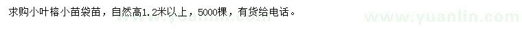 求購自然高1.2米以上小葉榕