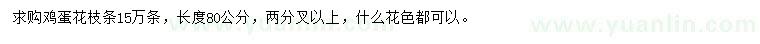 求購(gòu)長(zhǎng)度80公分雞蛋花枝條