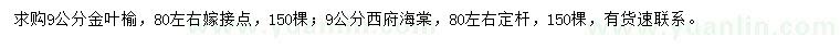 求購(gòu)9公分金葉榆、西府海棠