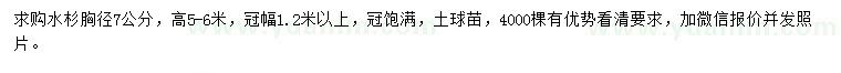 求購胸徑7公分水杉