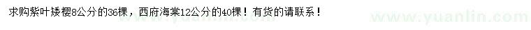 求購(gòu)8公分紫葉矮櫻、12公分西府海棠